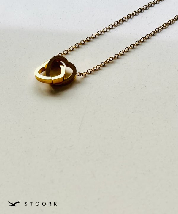 316L Double Heart Necklace - stoork