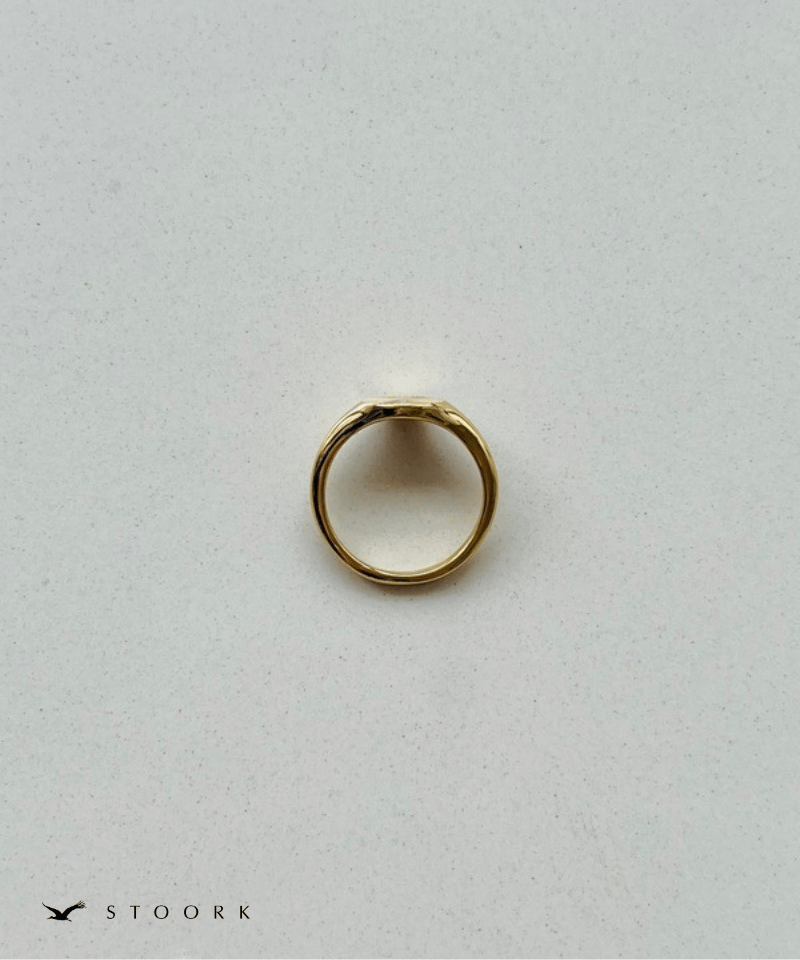 316L Jagged Circle Ring - stoork