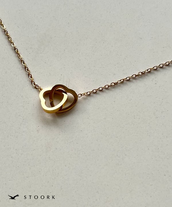 316L Double Heart Necklace - stoork