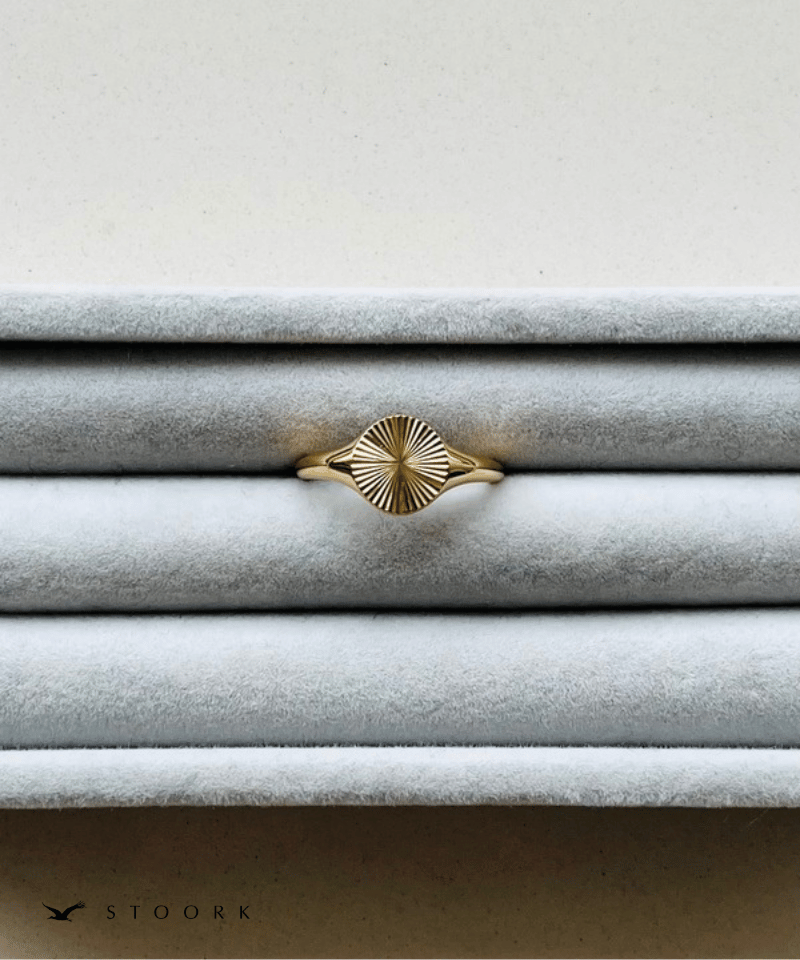 316L Jagged Circle Ring - stoork