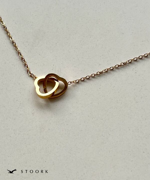 316L Double Heart Necklace