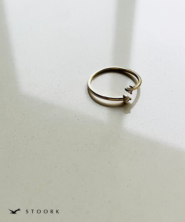 s925 Double Zirconia Ring