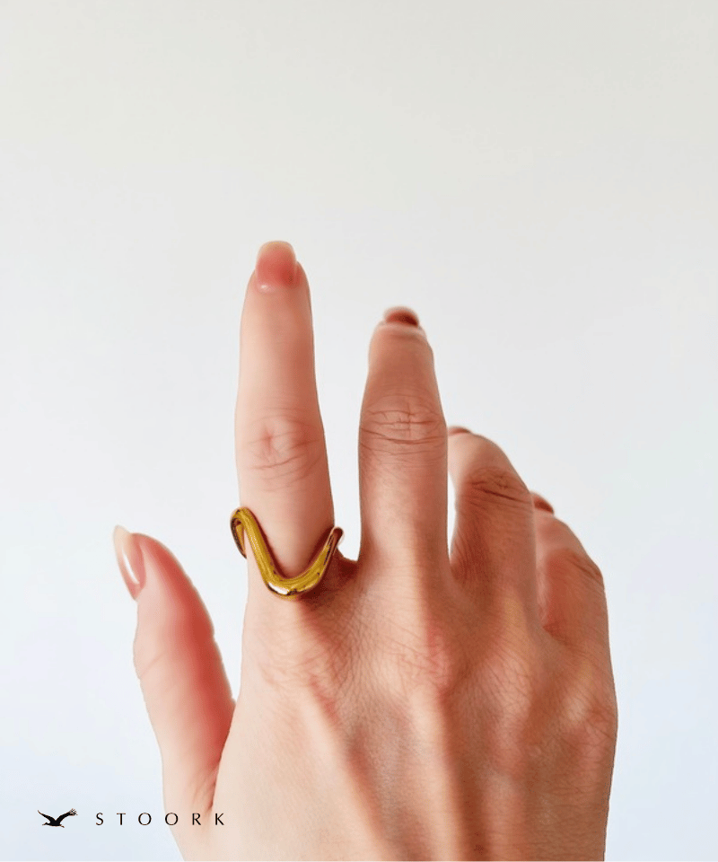 Slit Ring - stoork